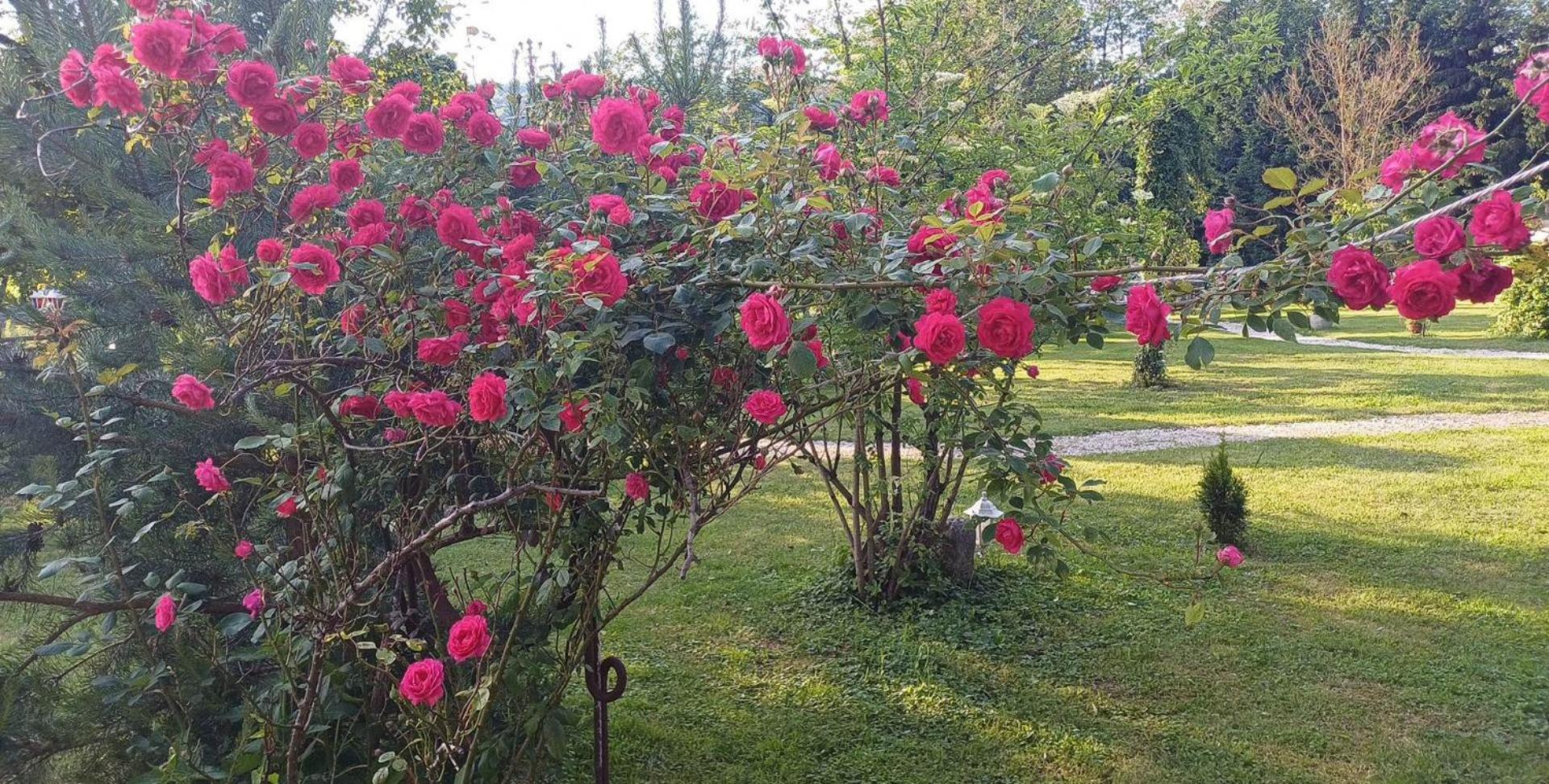Edenski Vrt Ivancna Gorica Luaran gambar