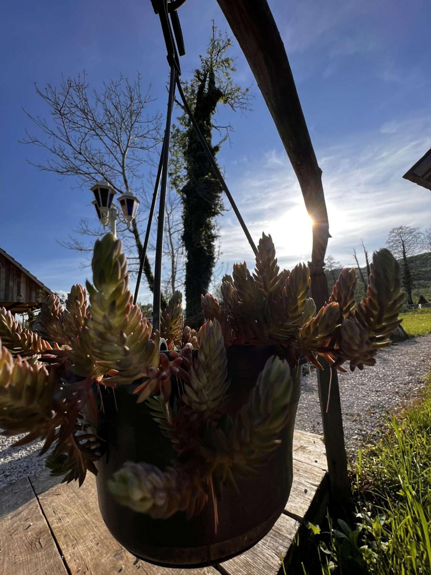 Edenski Vrt Ivancna Gorica Luaran gambar